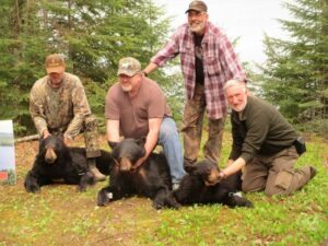 Forfaits de chasse au gros gibier à l'ours noir — Pourvoirie du Lac Marie – Pourvoirie du Lac Marie