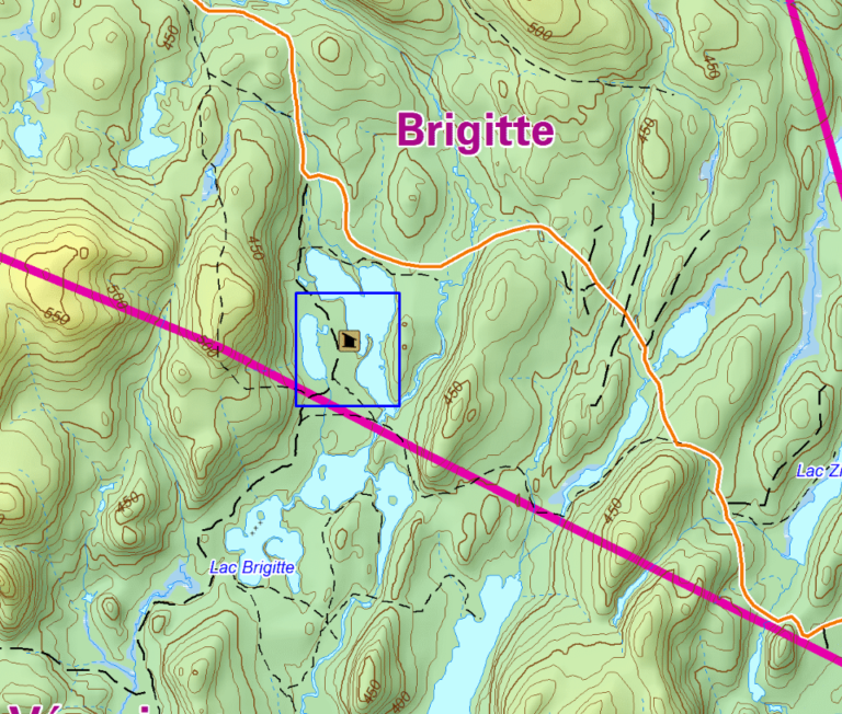 brigitte2